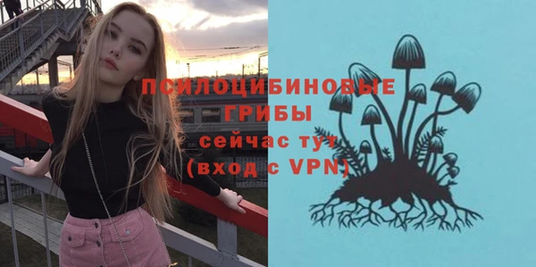 a pvp Аша