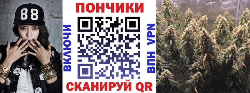Каннабис планчик продажа наркотиков Калач-на-Дону